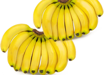 Ms Exim Banana 2