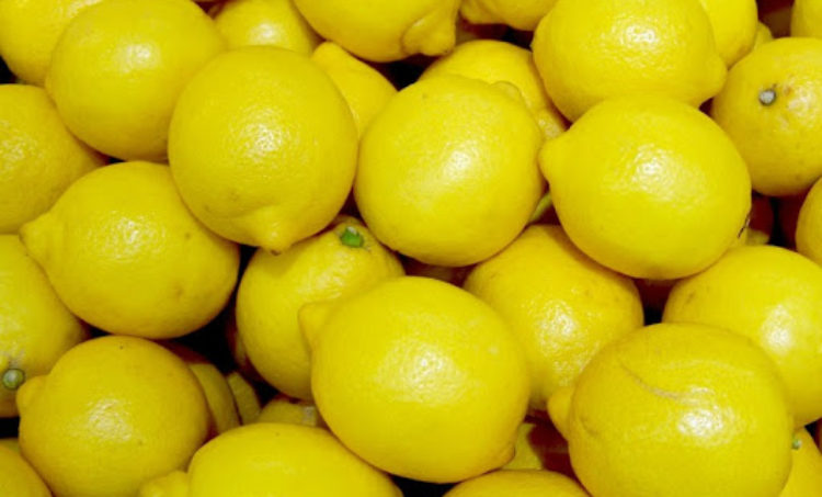 Ms Exim Lemon 2