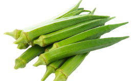 Okra