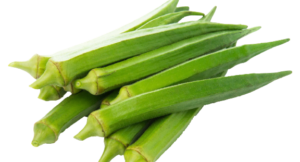 Ms Exim Okra 1